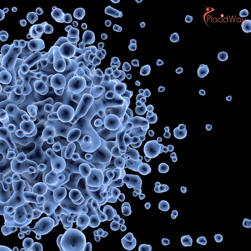 Why CAR T-Cell Therapy is Gaining Attention for Autoimmune Diseases